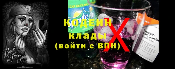 прущие грибы Беломорск