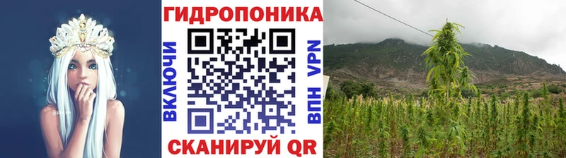 shop как зайти  Называевск  МАРИХУАНА Amnesia  mega зеркало 